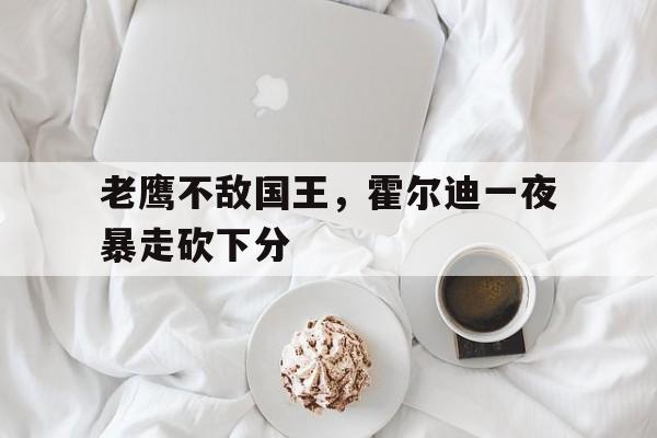 老鹰不敌国王，霍尔迪一夜暴走砍下分的简单介绍